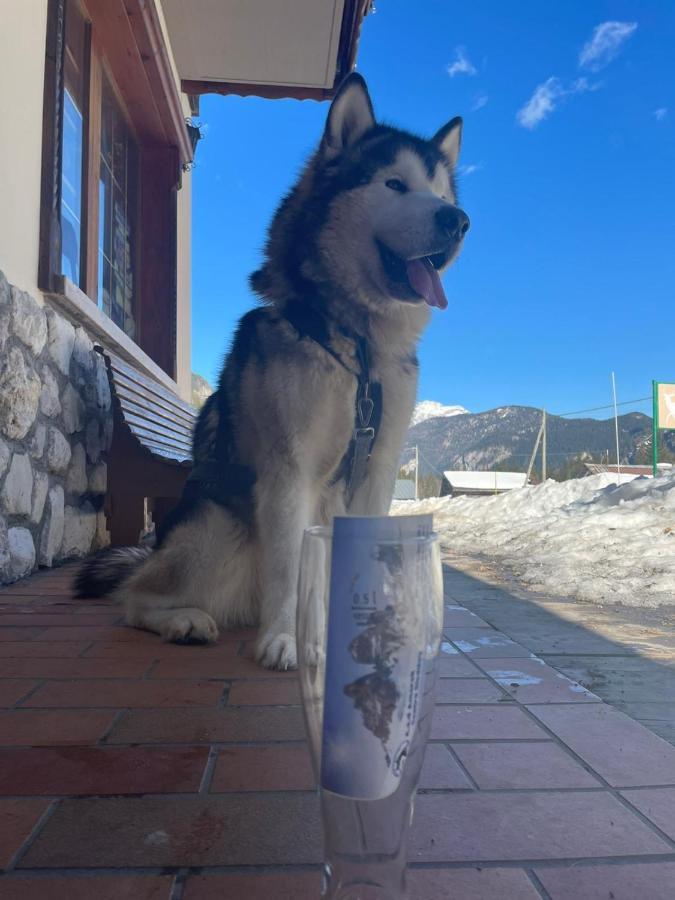 Al Cervo Albergo - Hotel Stabiziane Buitenkant foto