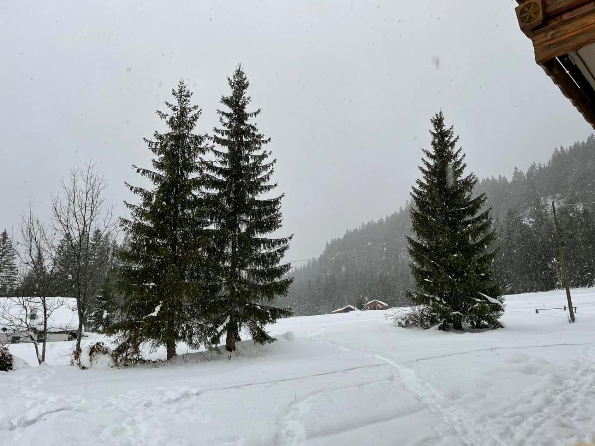 Al Cervo Albergo - Hotel Stabiziane Buitenkant foto