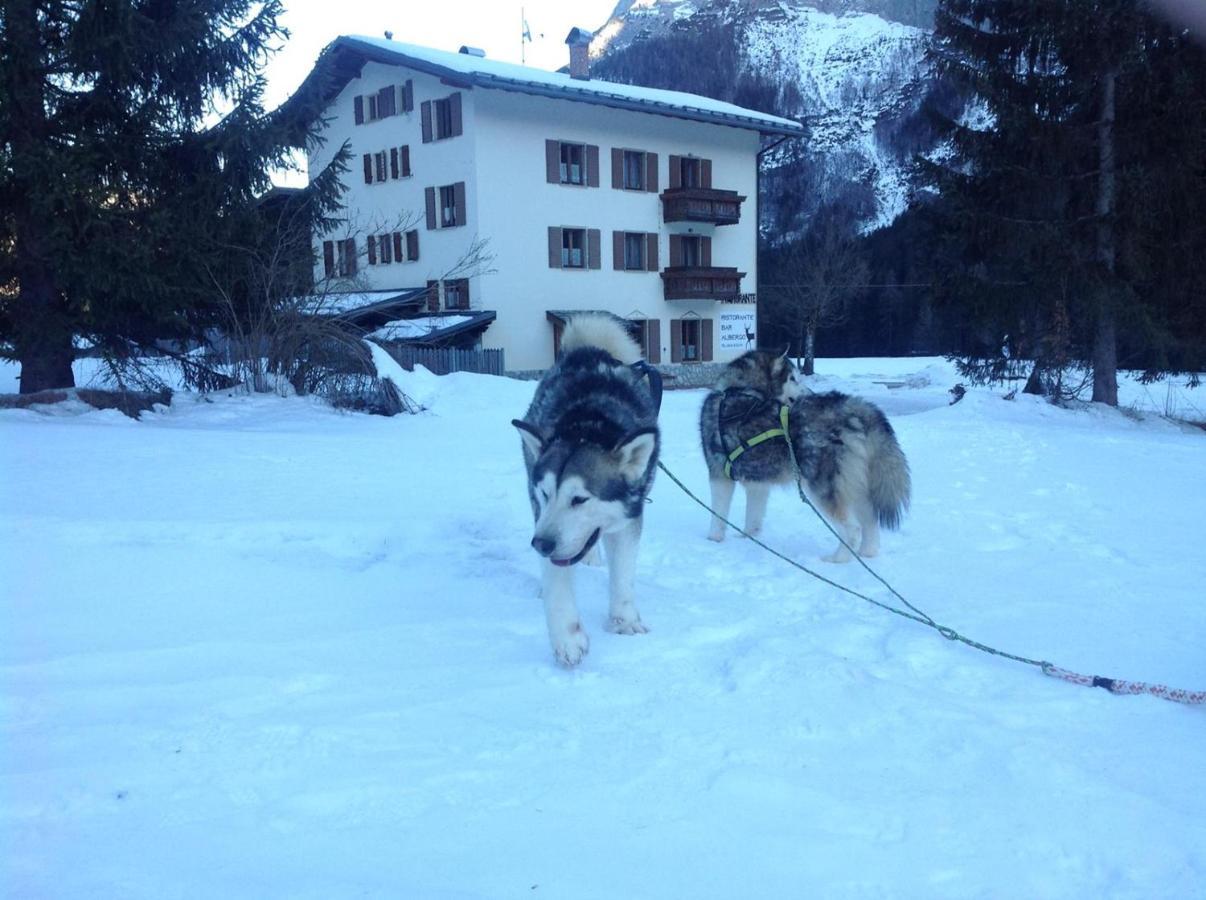 Al Cervo Albergo - Hotel Stabiziane Buitenkant foto
