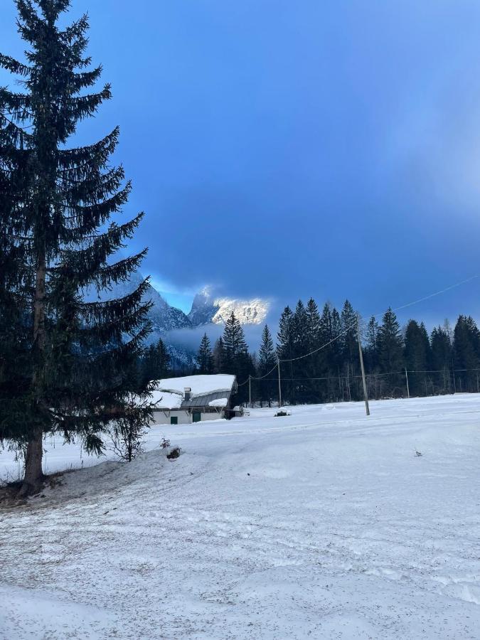 Al Cervo Albergo - Hotel Stabiziane Buitenkant foto
